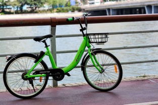 香港首推共享單車服務(wù) 3輛自行車被丟入河中