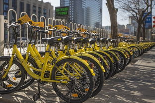 來(lái)了就不想走,歪果仁迷戀中國(guó)是因?yàn)? class=