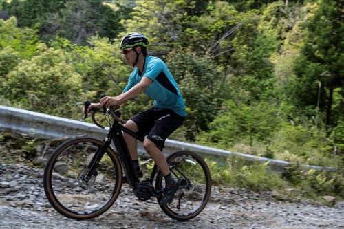 管內(nèi)電池自行車(chē) 電動(dòng)皮卡 電動(dòng)拖拉機(jī),新產(chǎn)品正在集中爆發(fā)