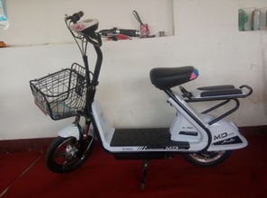 天津市薊縣薊邦電動車制造廠 專業(yè)電動自行車制造引領(lǐng)綠色出行